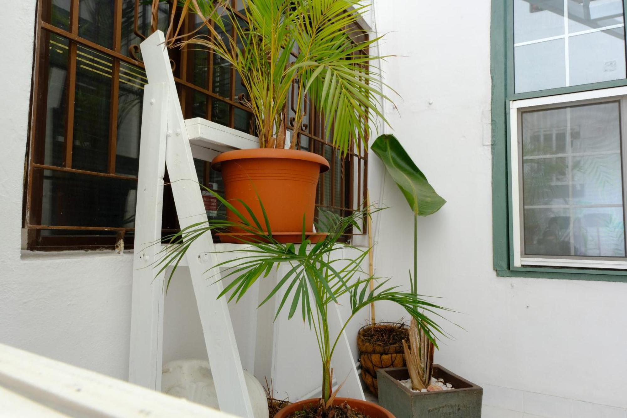 Rooftop Dreamhouse - 3Br With Seaviews ซานตาครูซเดลาปัลมา ภายนอก รูปภาพ